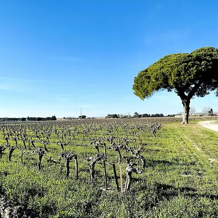 Du Mas - Aventurine Aigues-Mortes