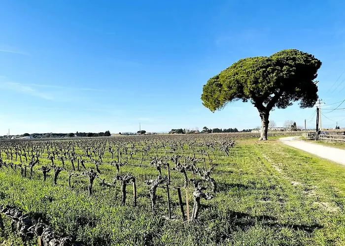 Du Mas - Aventurine Aigues-Mortes